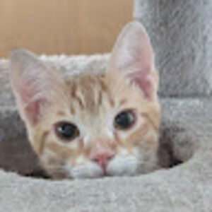 Meet your Posher, Dayna